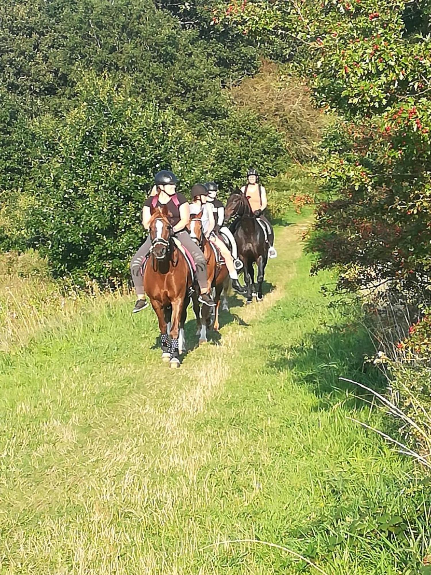 Ferienwohnung Reitanlage Baerenz Selk Bagian luar foto