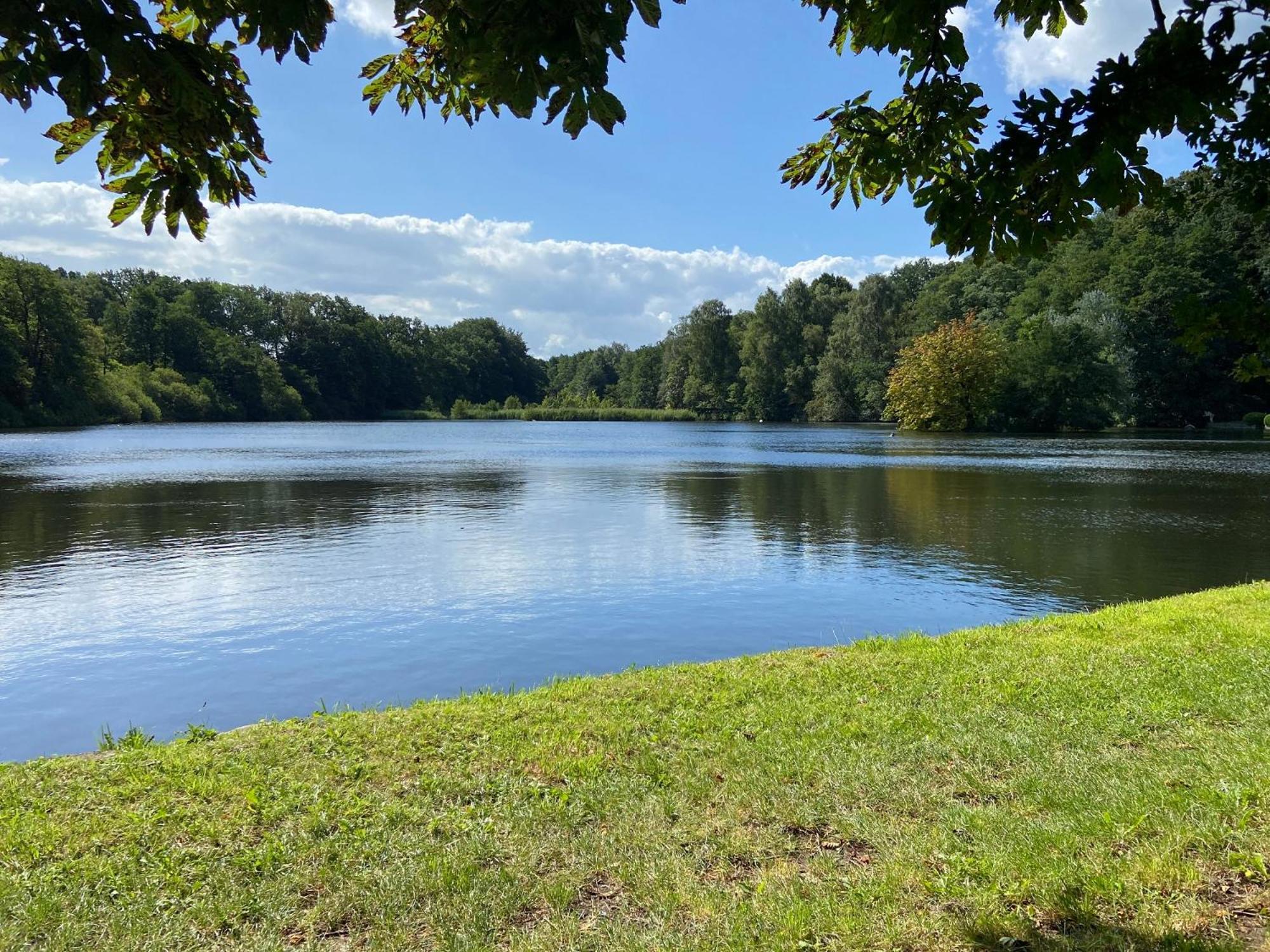 Ferienwohnung Reitanlage Baerenz Selk Bagian luar foto
