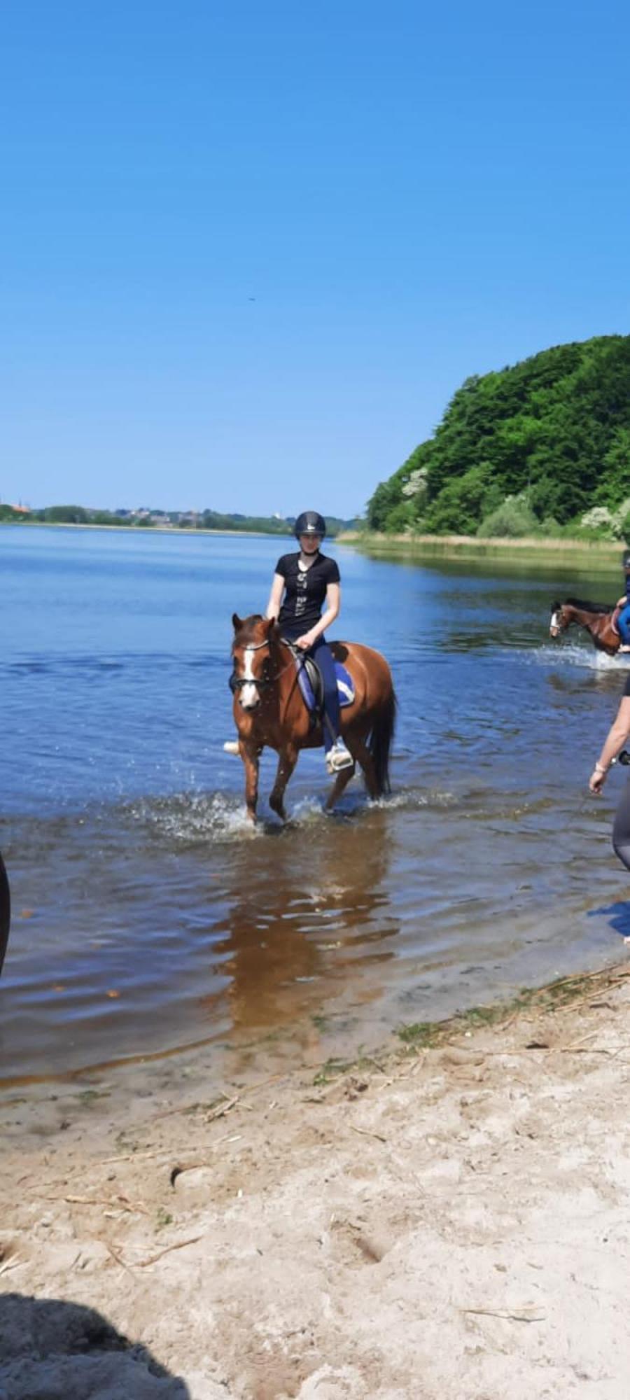 Ferienwohnung Reitanlage Baerenz Selk Bagian luar foto