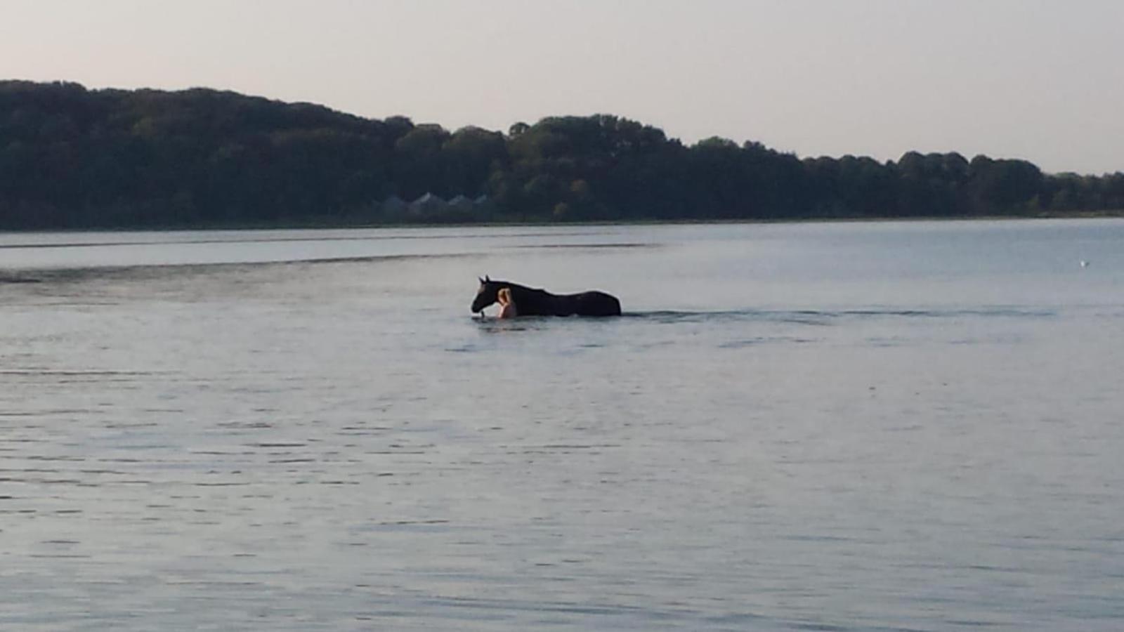 Ferienwohnung Reitanlage Baerenz Selk Bagian luar foto