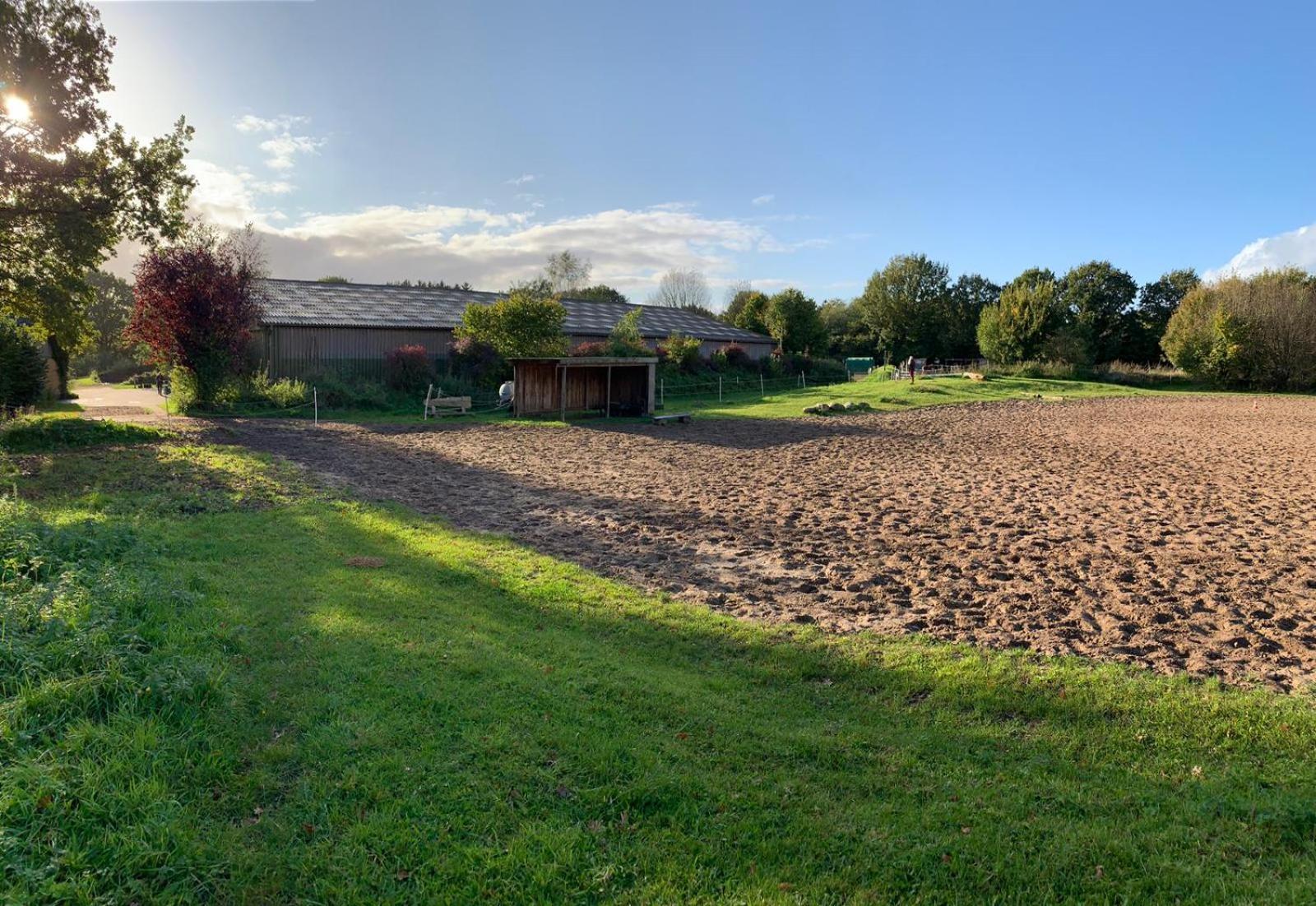 Ferienwohnung Reitanlage Baerenz Selk Bagian luar foto
