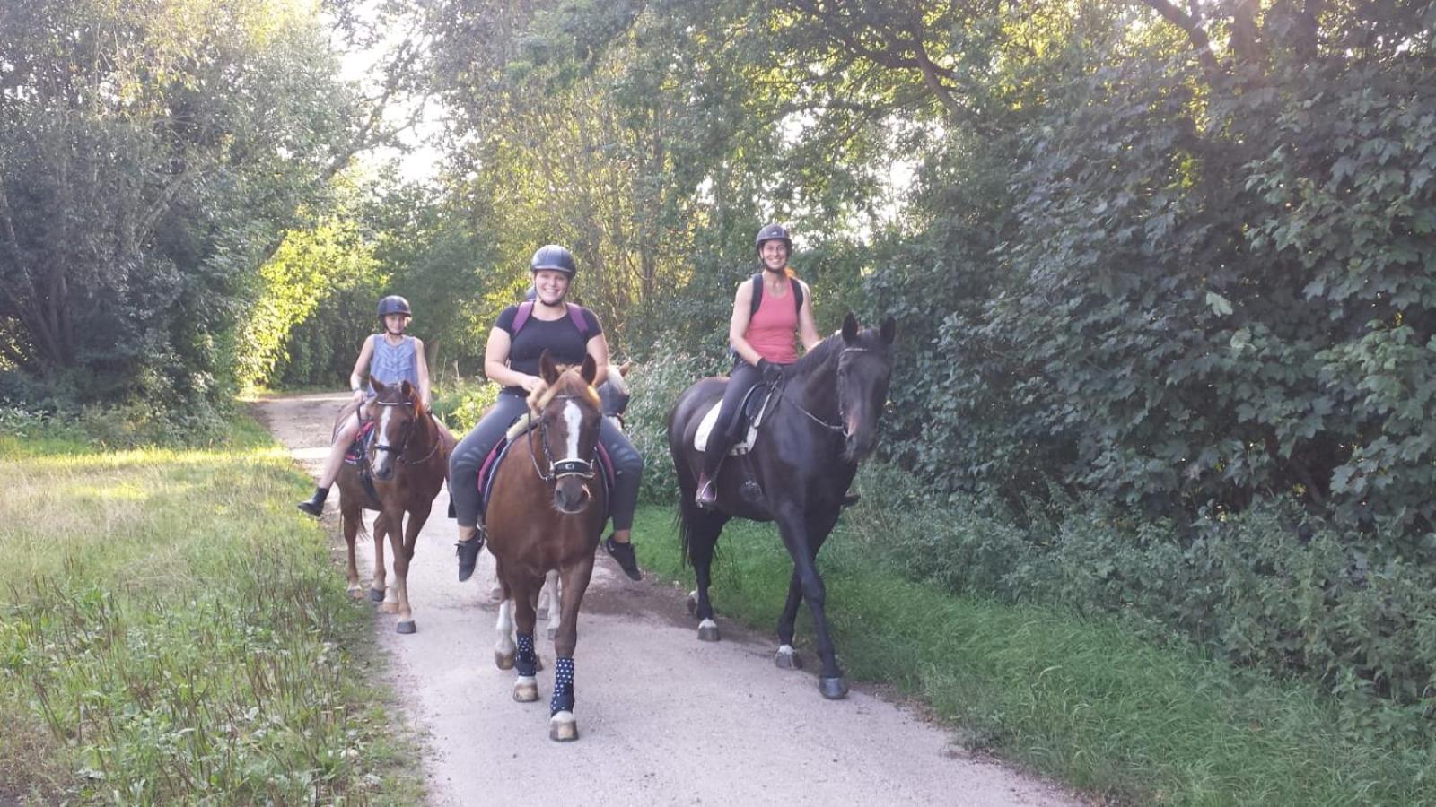 Ferienwohnung Reitanlage Baerenz Selk Bagian luar foto